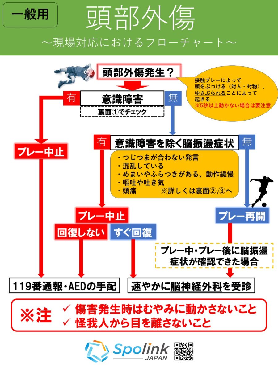 頭部外傷 ⅱ 型 – 頭部外傷 マニュアル – ZRAVBE